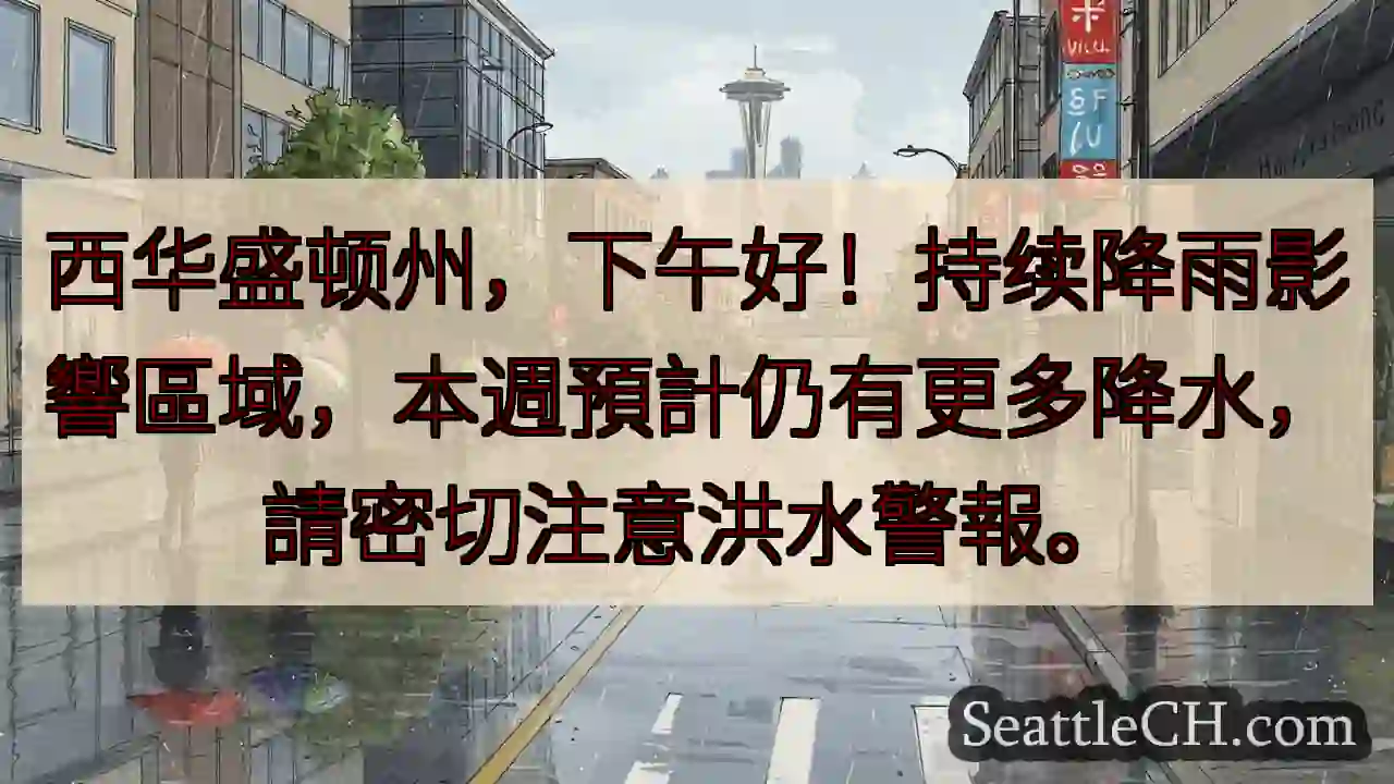 西華州雨勢強！注意洪警！