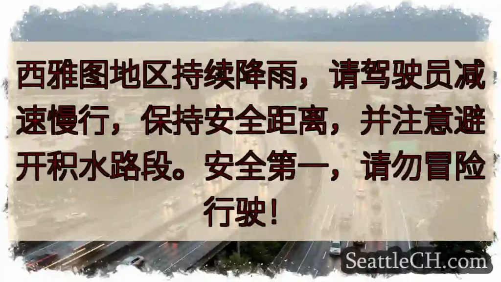 西雅图雨季!减速慢行,安全第一!