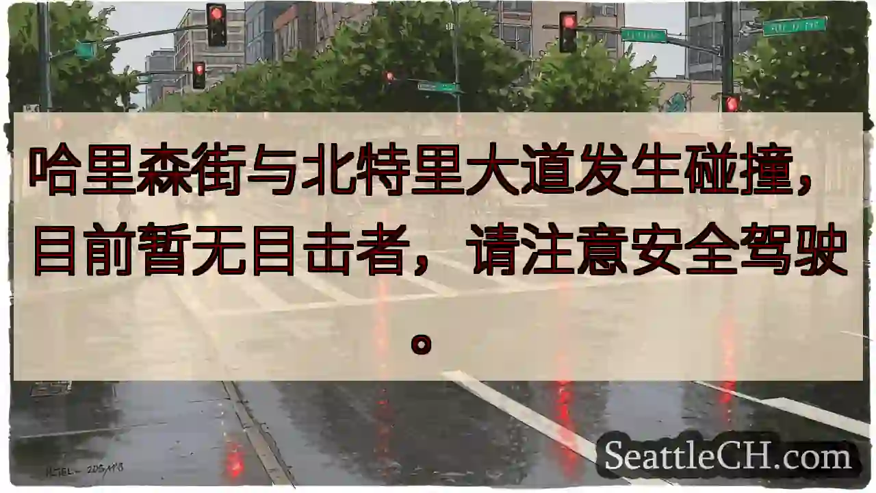 哈里森街事故！请减速慢行。