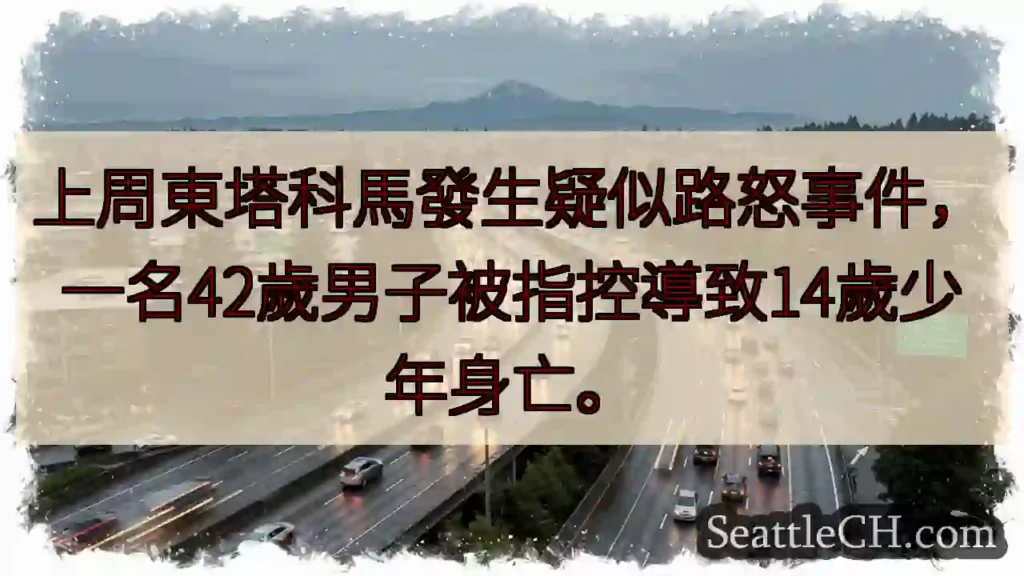 東塔科馬路怒?少年身亡