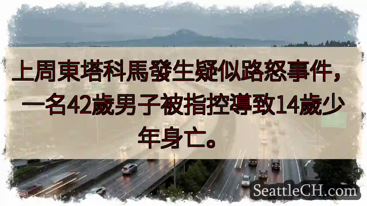 東塔科馬路怒？少年身亡