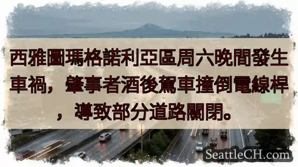西雅圖：酒駕撞桿，路段關閉