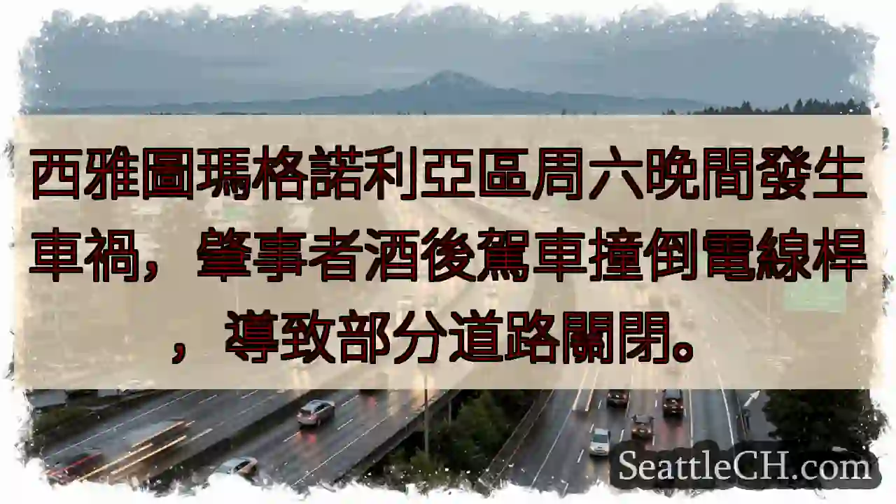 西雅圖：酒駕撞桿，路段關閉