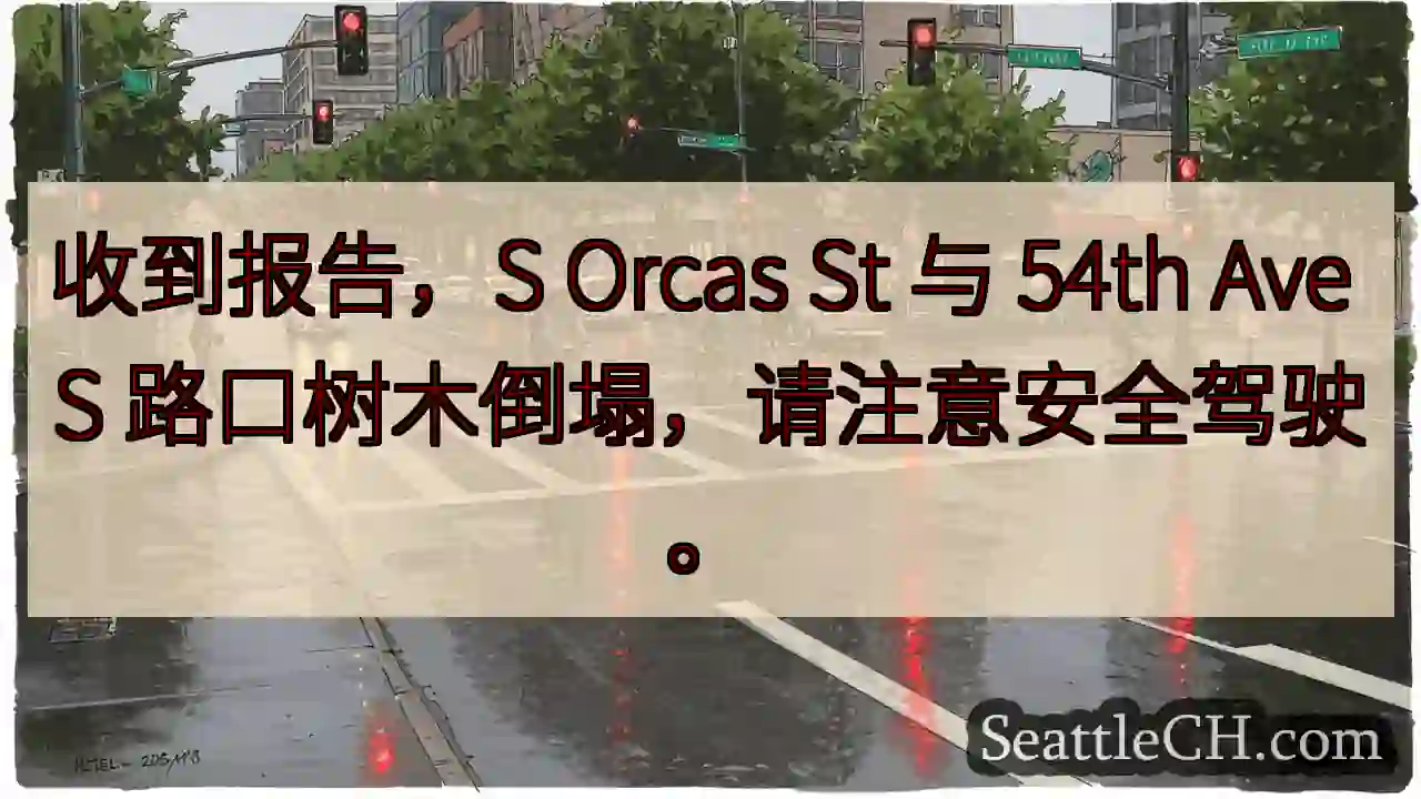 S Orcas St & 54th Ave S 树木倒塌！小心驾驶！