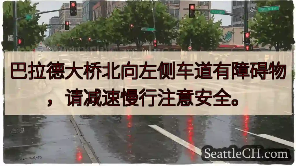 巴桥左侧障碍！减速慢行。