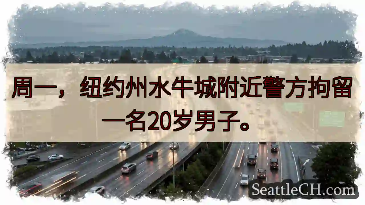 水牛城：20岁男子被捕