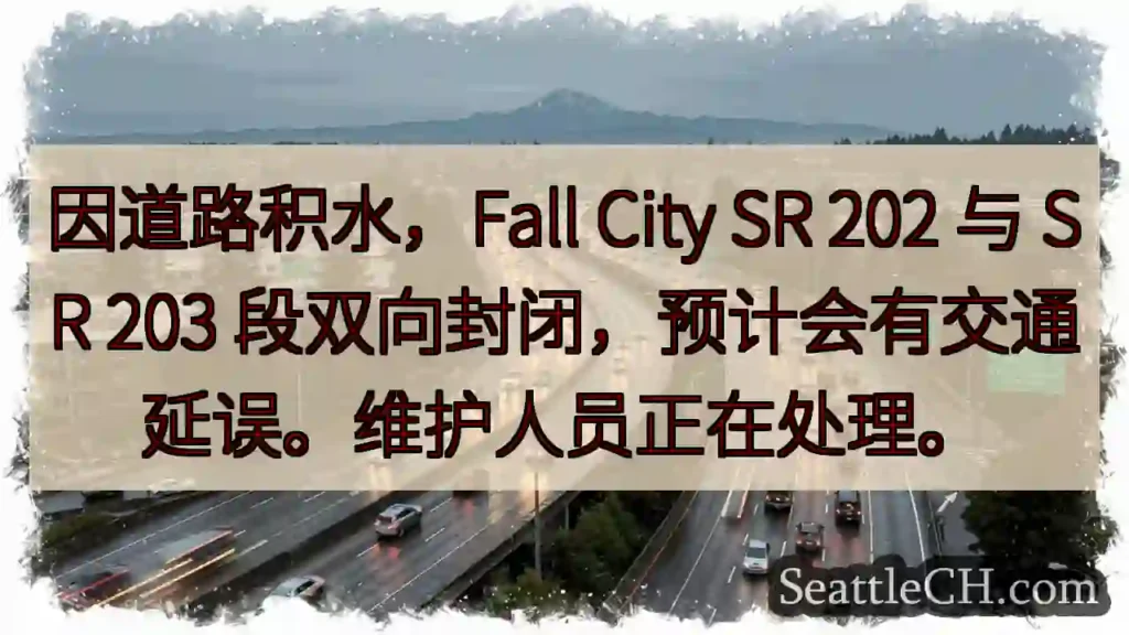 🚧 道路积水，SR 202/203 封闭！