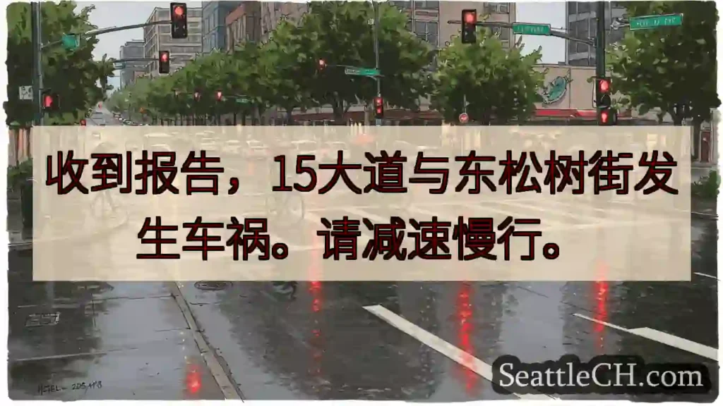 注意!15大道车祸,减速慢行。