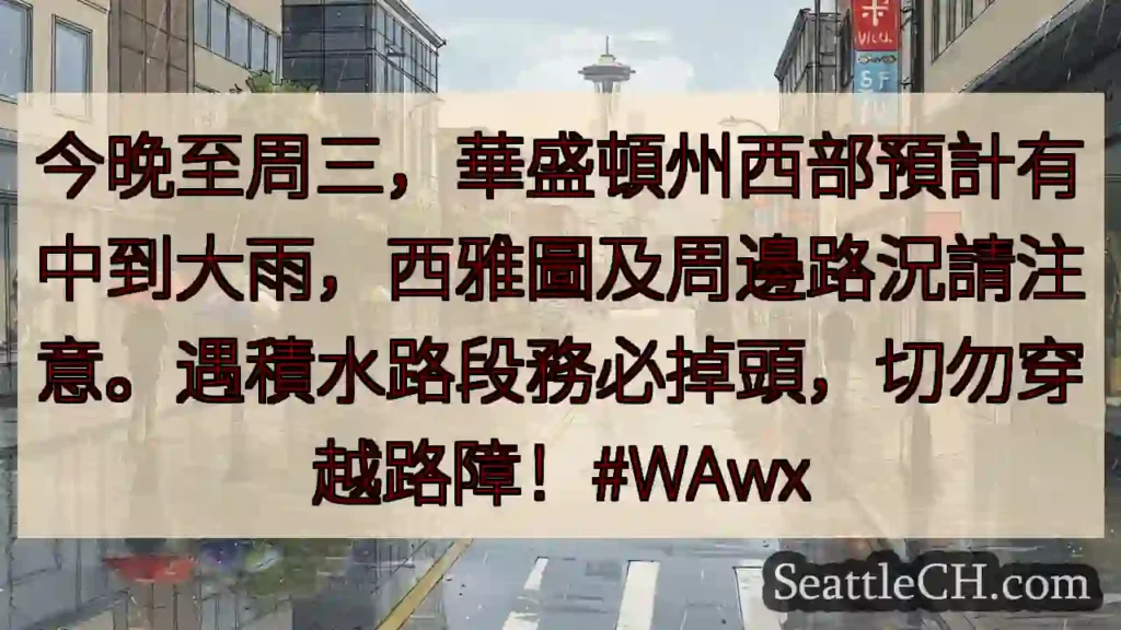 西雅圖雨勢大!積水路段請勿前行!