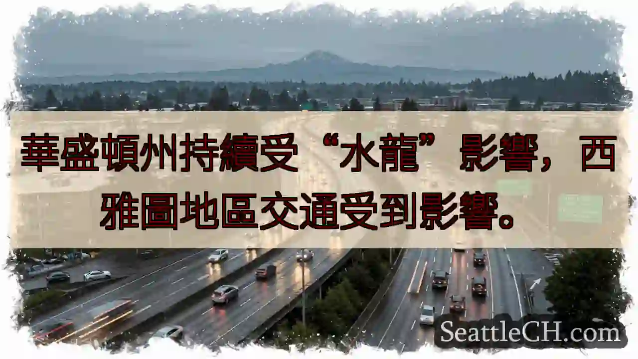 水龍影響！西雅圖交通受阻