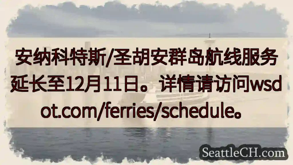 航线延长至12月11日!