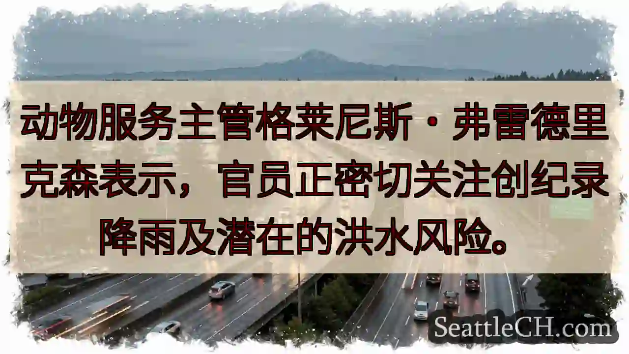 关注！创纪录降雨，洪水风险！