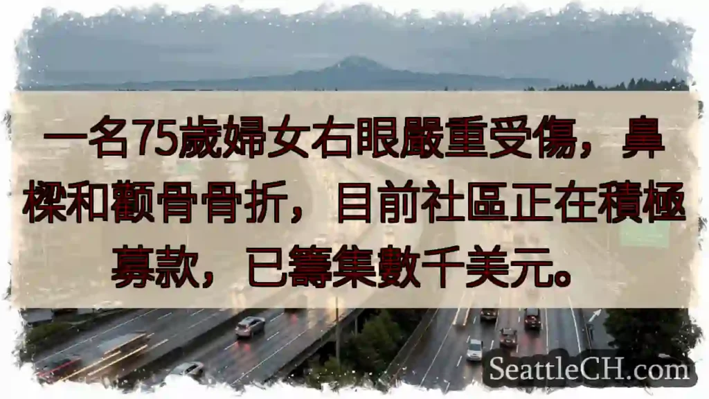 婦人眼部重傷!急需援助!