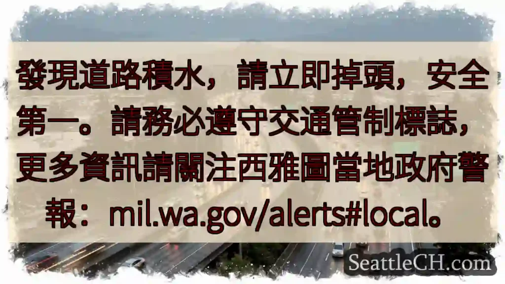 積水路段,請立即掉頭!安全第一。