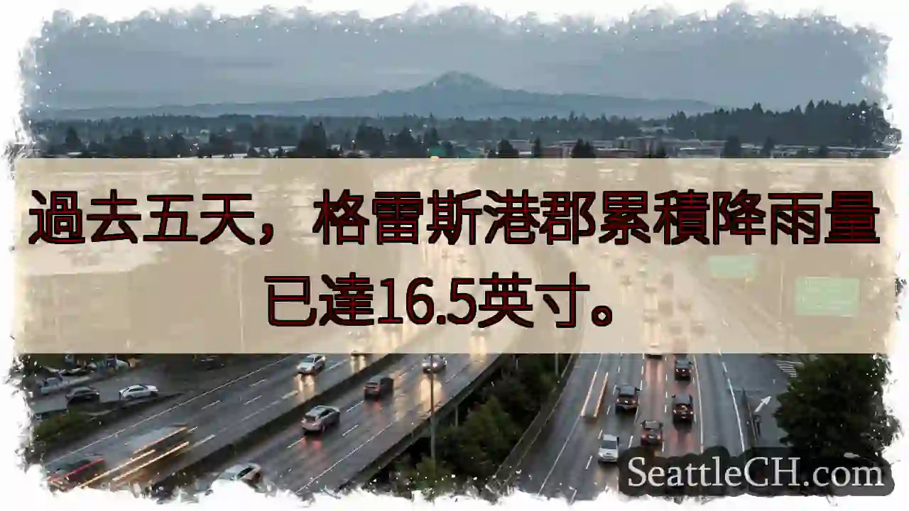 格雷斯港：五天暴雨，已達16.5英寸！