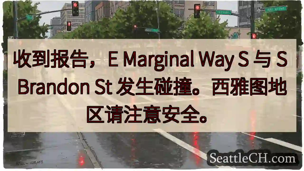 E Marginal Way S & S Brandon St 事故！注意安全！
