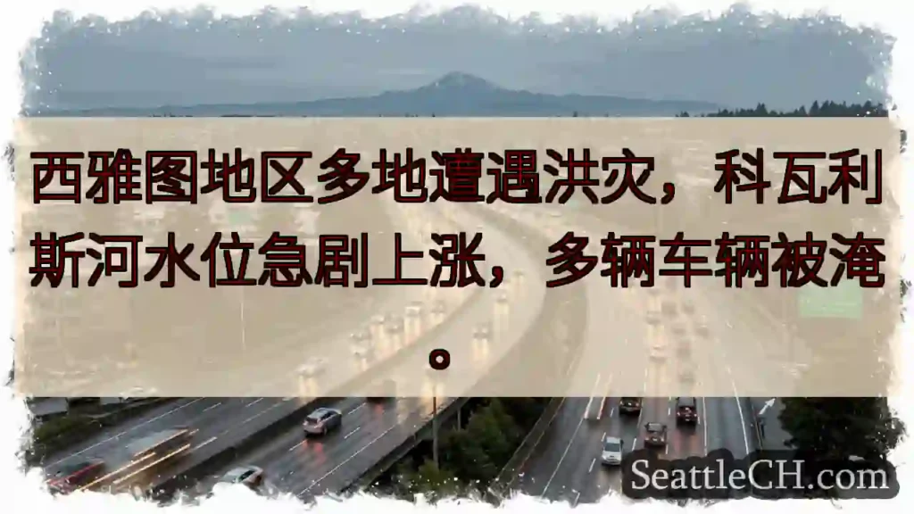西雅图洪灾！车辆被淹