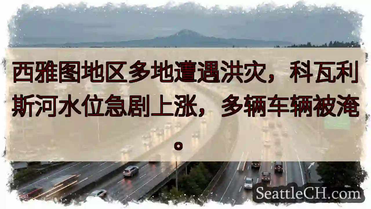 西雅图洪灾！车辆被淹