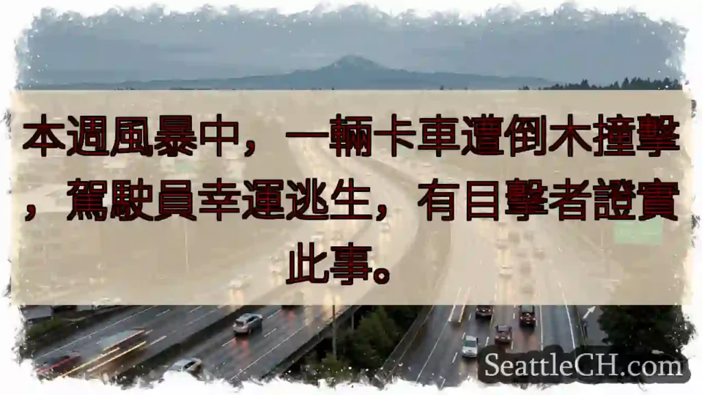 卡車遇險！倒木撞擊，駕駛員安全！