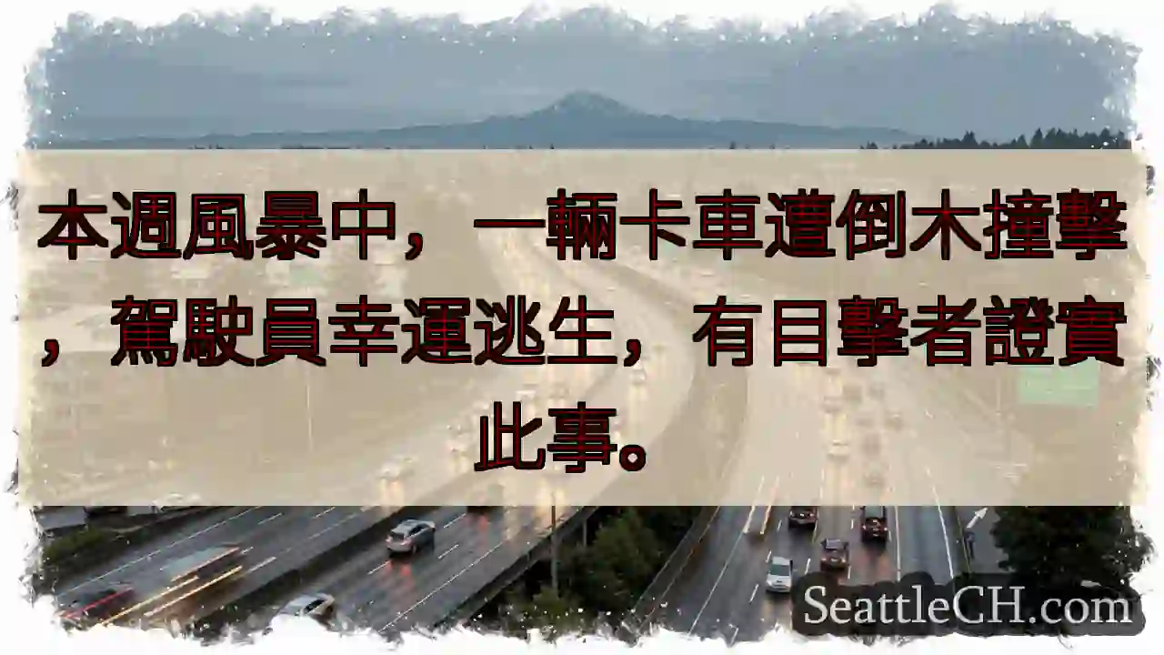 卡車遇險！倒木撞擊，駕駛員安全！