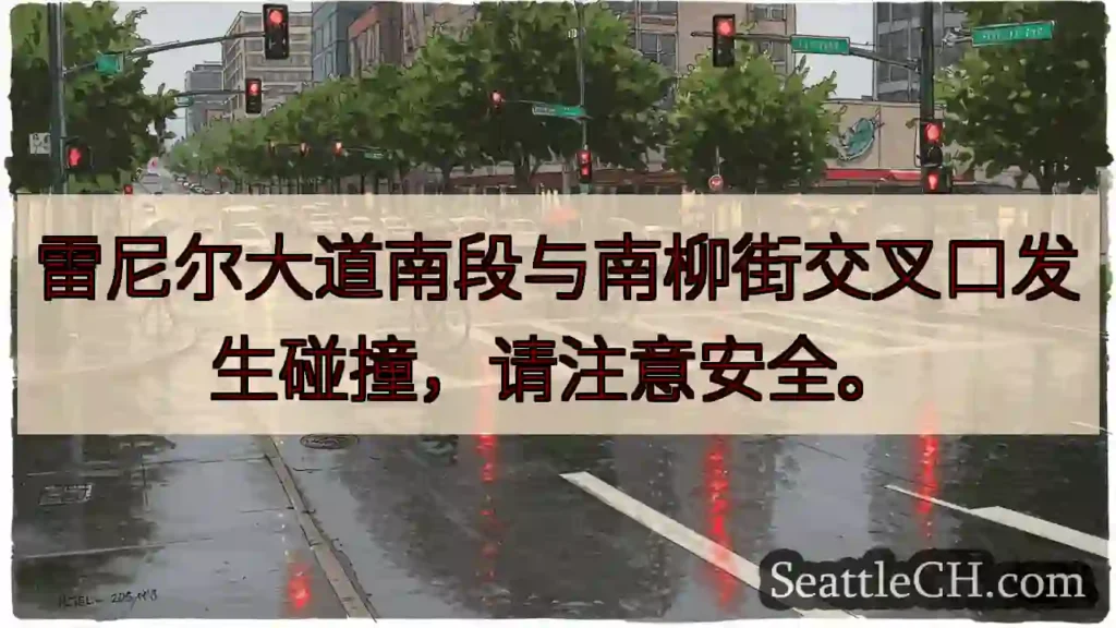 雷南路与南柳街碰撞!小心驾驶。