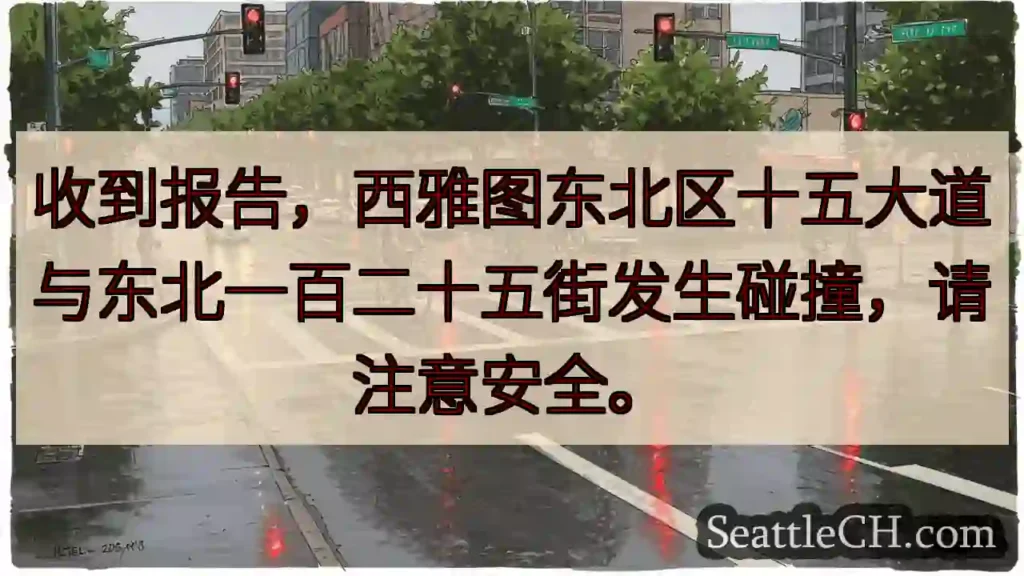 西雅图事故!注意安全!