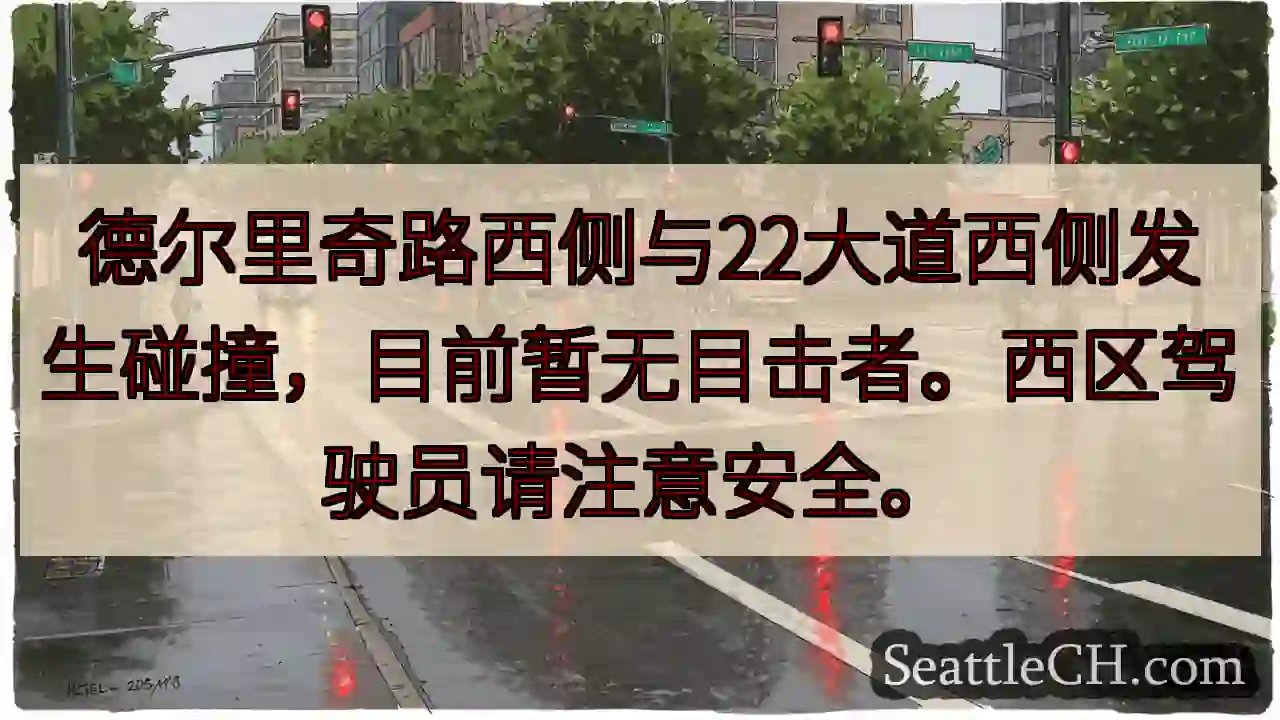 德尔里奇路与22大道车祸！