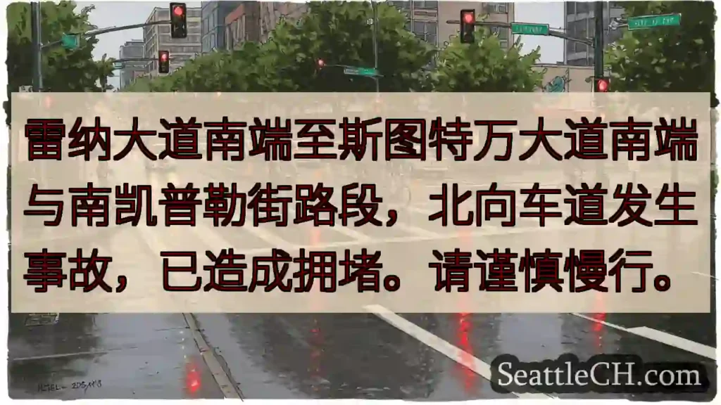 雷纳路拥堵！请减速慢行。