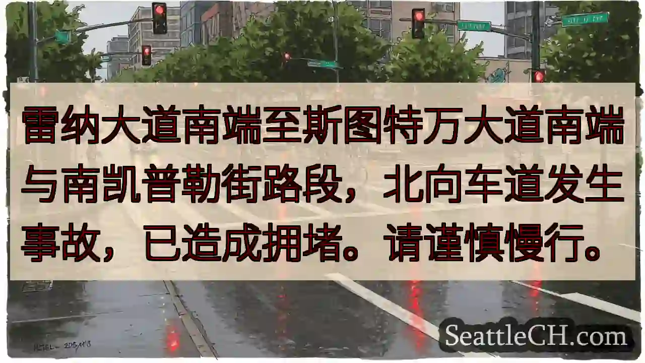 雷纳路拥堵！请减速慢行。