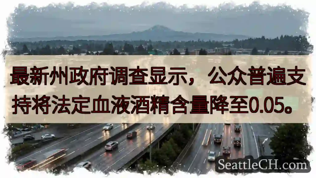 醉驾标准或降至0.05%