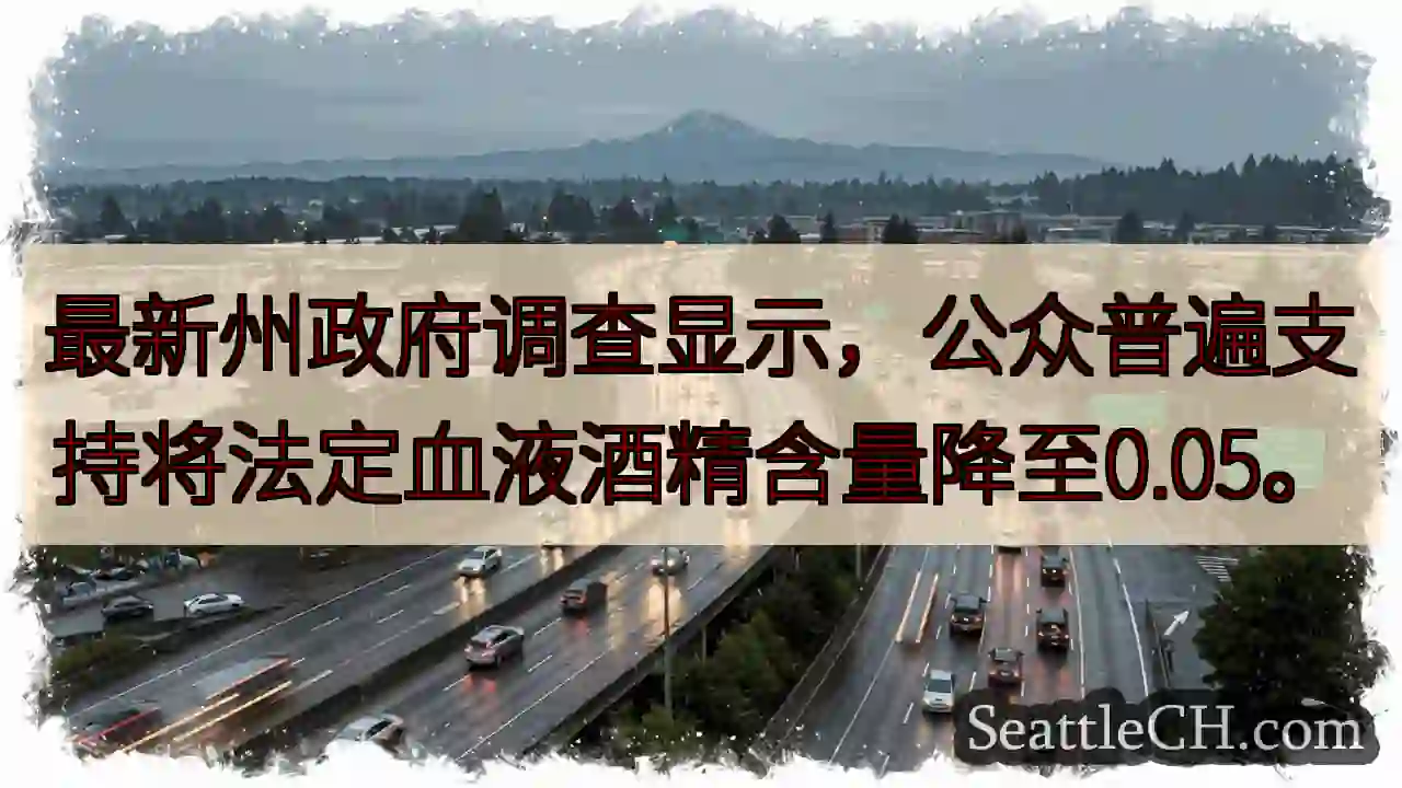 醉驾标准或降至0.05%