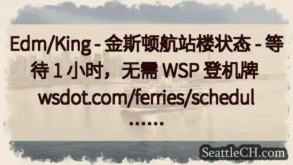 Edm/King - 金斯顿航站楼状态 - 等待 1 小时，无需 WSP 登机牌