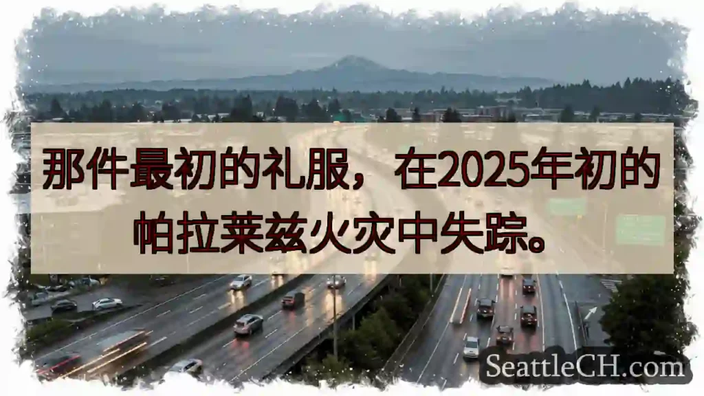 失踪礼服：帕拉莱兹火灾