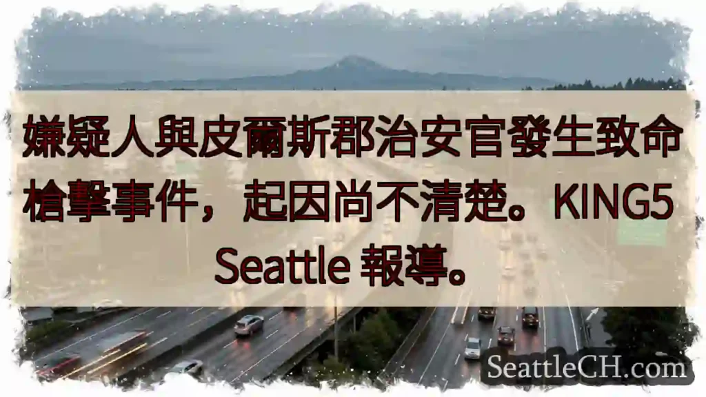致命槍擊！嫌疑人與警官對峙