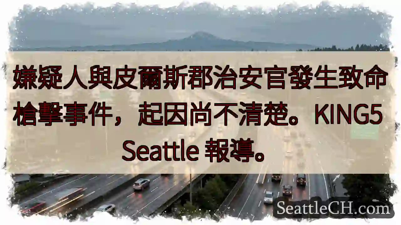 致命槍擊！嫌疑人與警官對峙