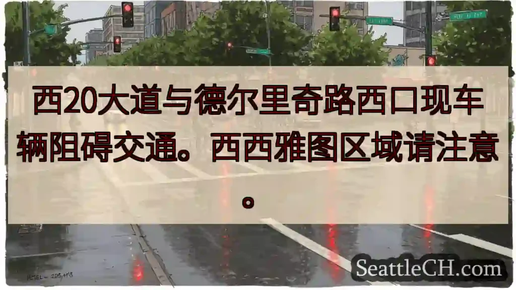 西20大道拥堵！注意绕行