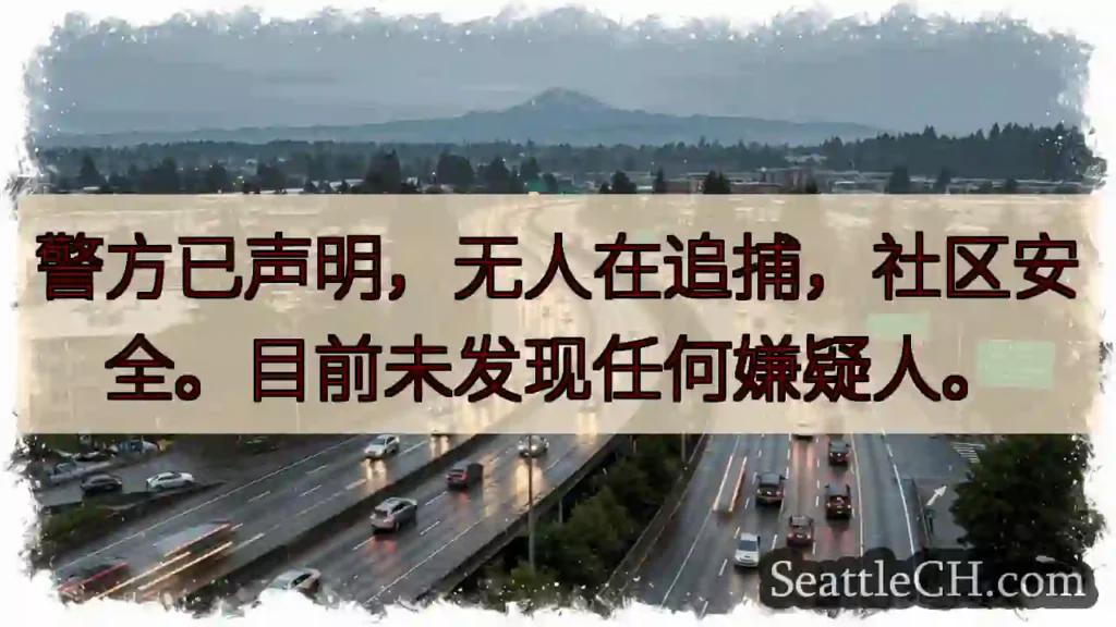 已声明：无人在追捕，安全！