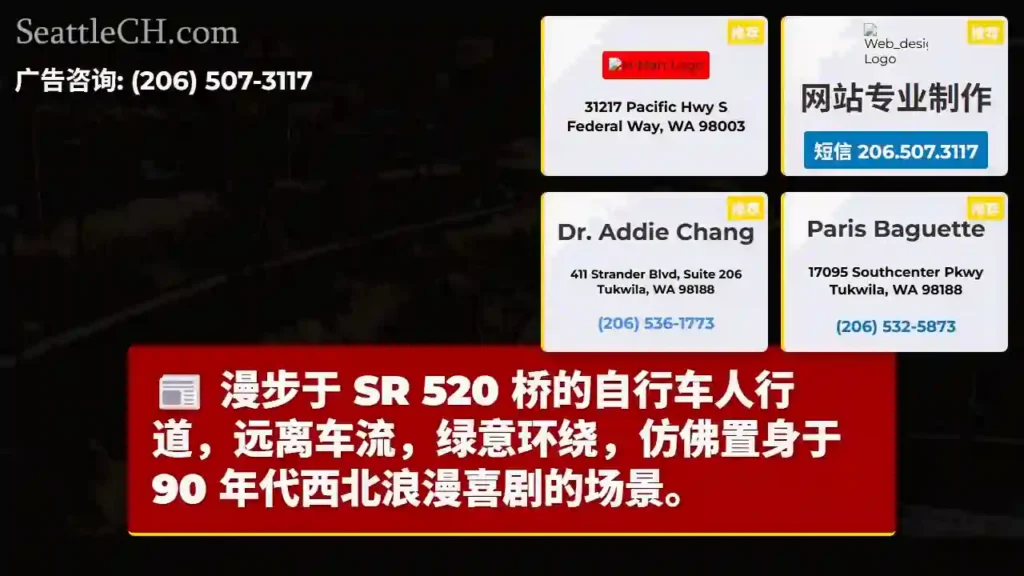 SR 520:骑行,浪漫,重返90年代
