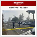 帕克兰男子遭刺伤，警官开枪事件