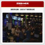 海鹰晋级季后赛，派尼尔广场燃爆球迷狂欢