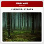 皮尔斯县发生疑似路边枪击案，男子身中多弹