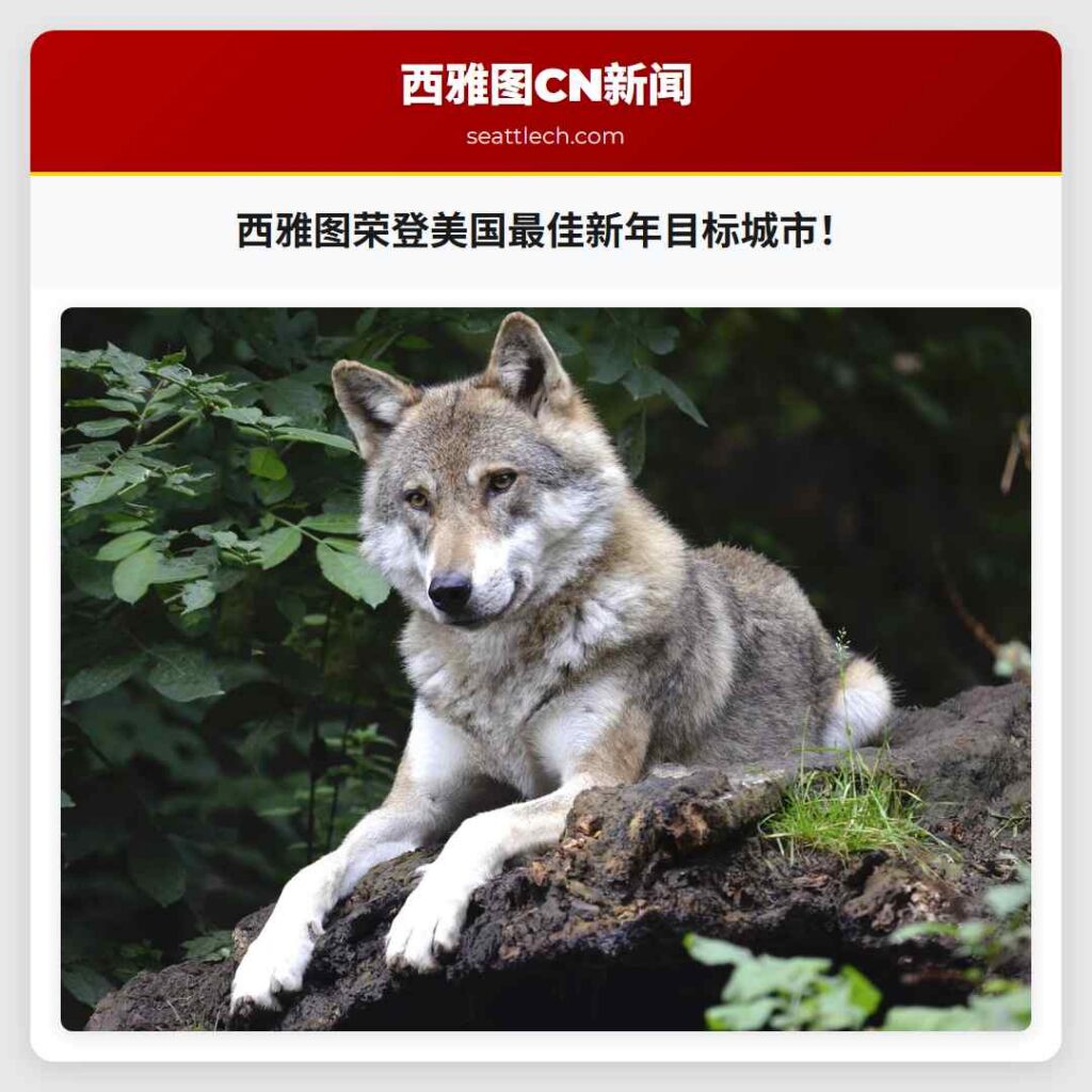 西雅图荣登美国最佳新年目标城市！