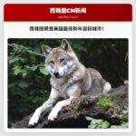 数据分析：西雅图荣登2026年美国最佳坚持新年目标城市