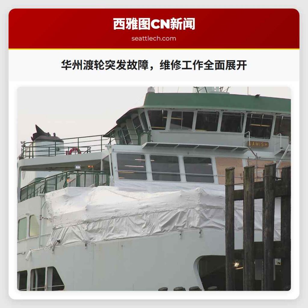 华州渡轮突发故障，维修工作全面展开