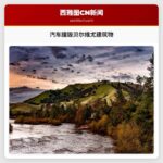 汽车撞毁贝尔维尤建筑物