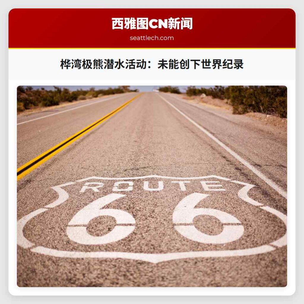 桦湾极熊潜水活动：未能创下世界纪录