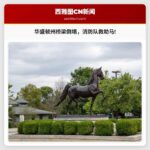 华盛顿州埃纳姆克洛桥梁倒塌，消防队员成功救助马匹