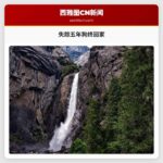 失踪5年的狗终于与家人团聚