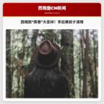 西雅图“鹰巷”清理露营车和帐篷，为海鹰队季后赛做准备