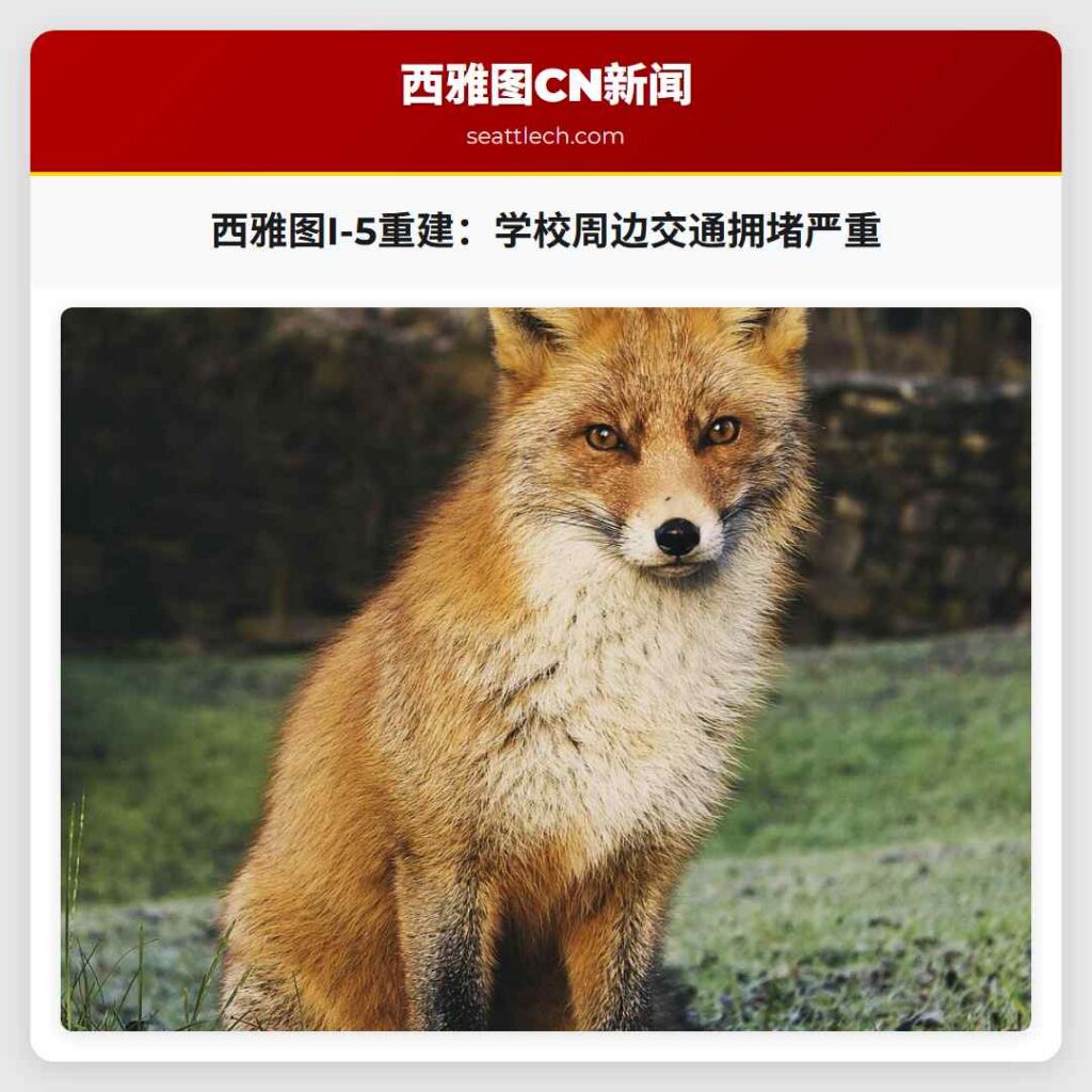 西雅图I-5重建：学校周边交通拥堵严重